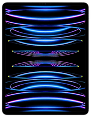 Buy Used 12.9-Inch 6th Generation iPad Pro in Bulk